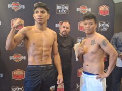 Lightweight Prospect Torres to be Tested by Diale on Saturday